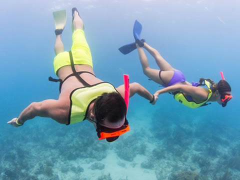 FULL DAY KEY WEST TOUR AND CORAL REEF SNORKELING WITH OPEN BAR